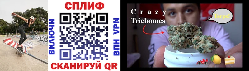 Продажа наркотиков Котлас COCAIN Меф мяу мяу Амфетамин Каннабис Псилоцибиновые грибы Гашиш