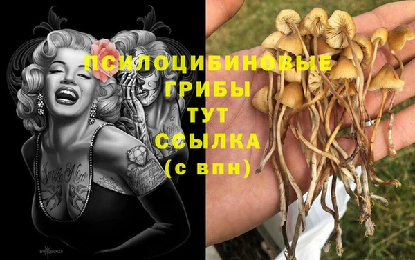 таблы Богородск