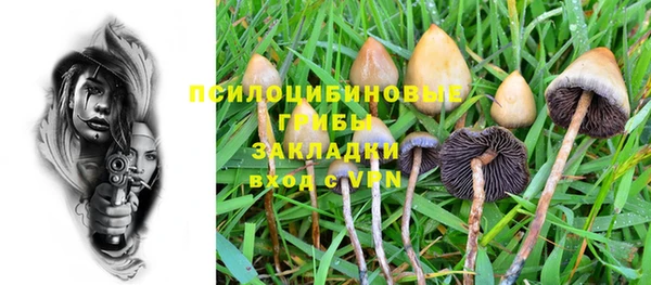 таблы Богородск