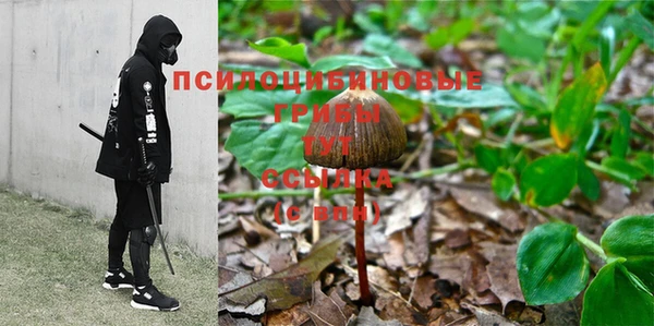 альфа пвп Богородицк