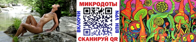 Псилоцибиновые грибы Psilocybe Котлас